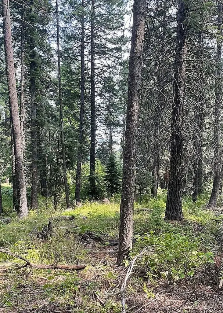 66 Hillside Trail, Donnelly, ID 83615 - Image #3