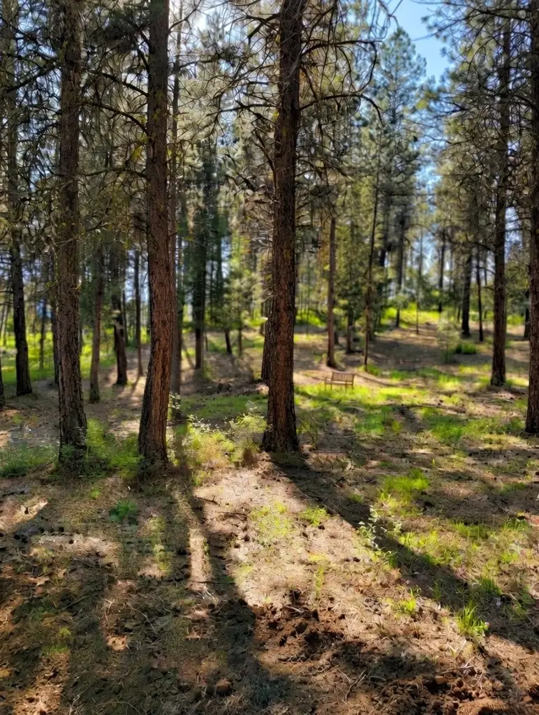 Lot 13 Lewis Drive, New Meadows, ID 83651 - Image #2