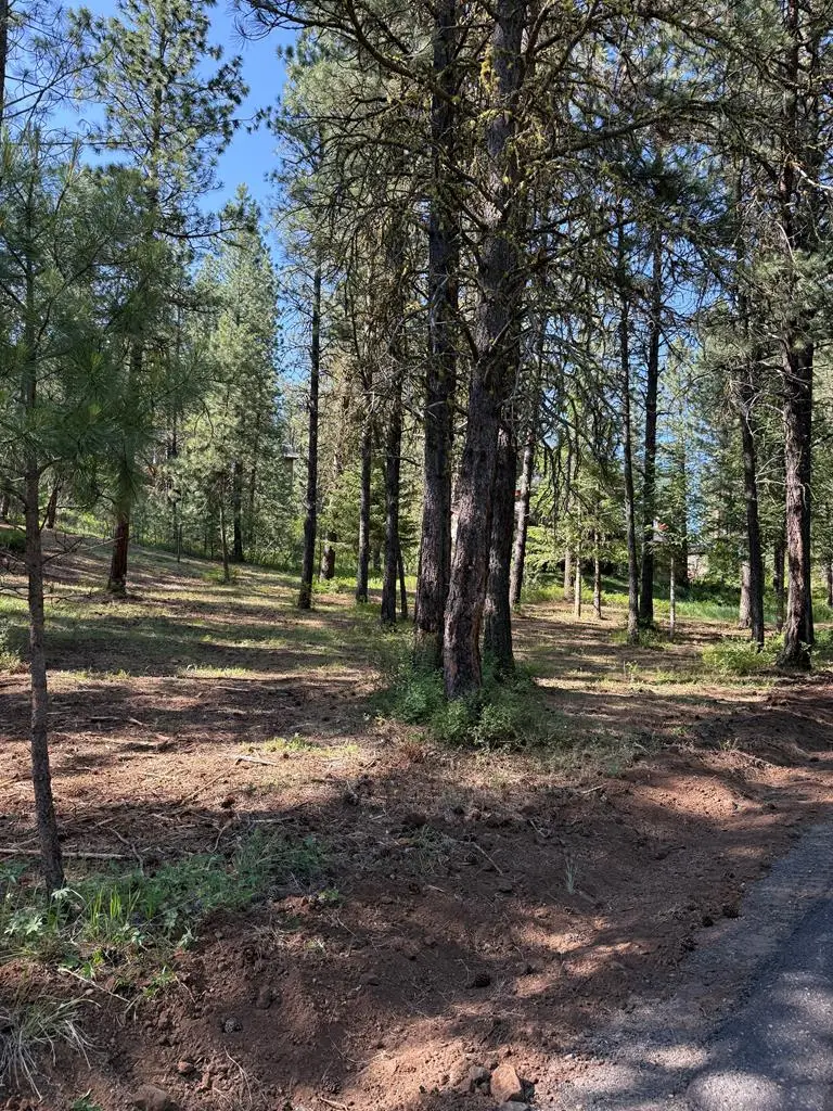 Lot 13 Lewis Drive, New Meadows, ID 83651 - Image #3