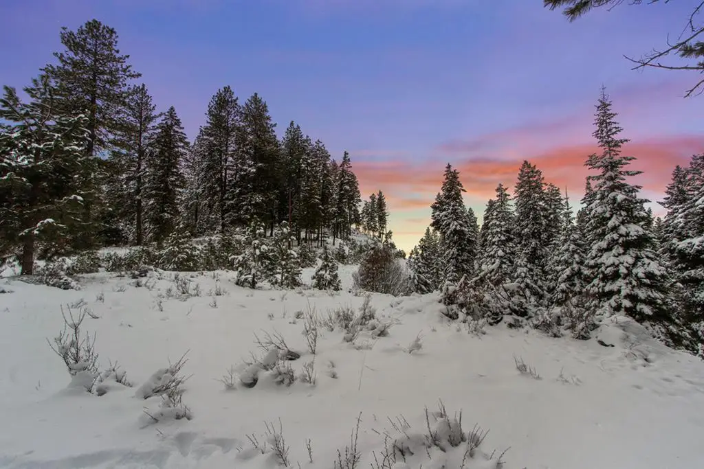 16 Sarah Way, Cascade, ID 83610 - Image #1