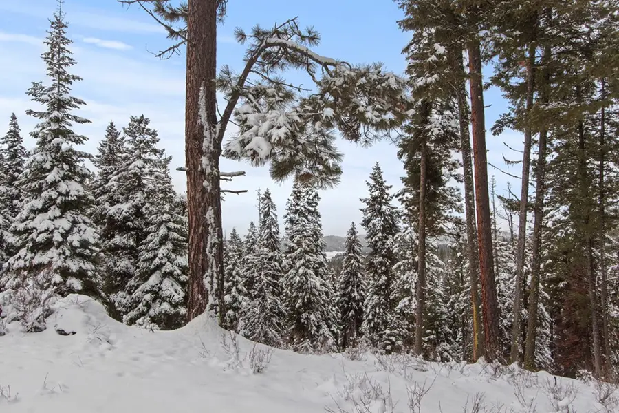 16 Sarah Way, Cascade, ID 83610 - Image #2