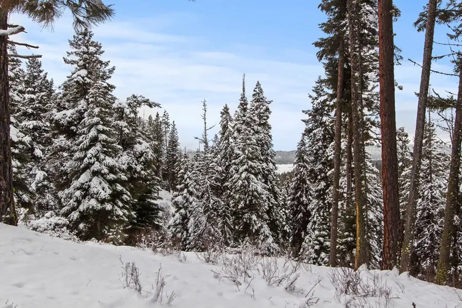 16 Sarah Way, Cascade, ID 83610 - Image #3