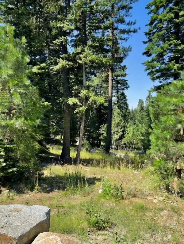 1425 Majestic View Drive, McCall, ID 83638