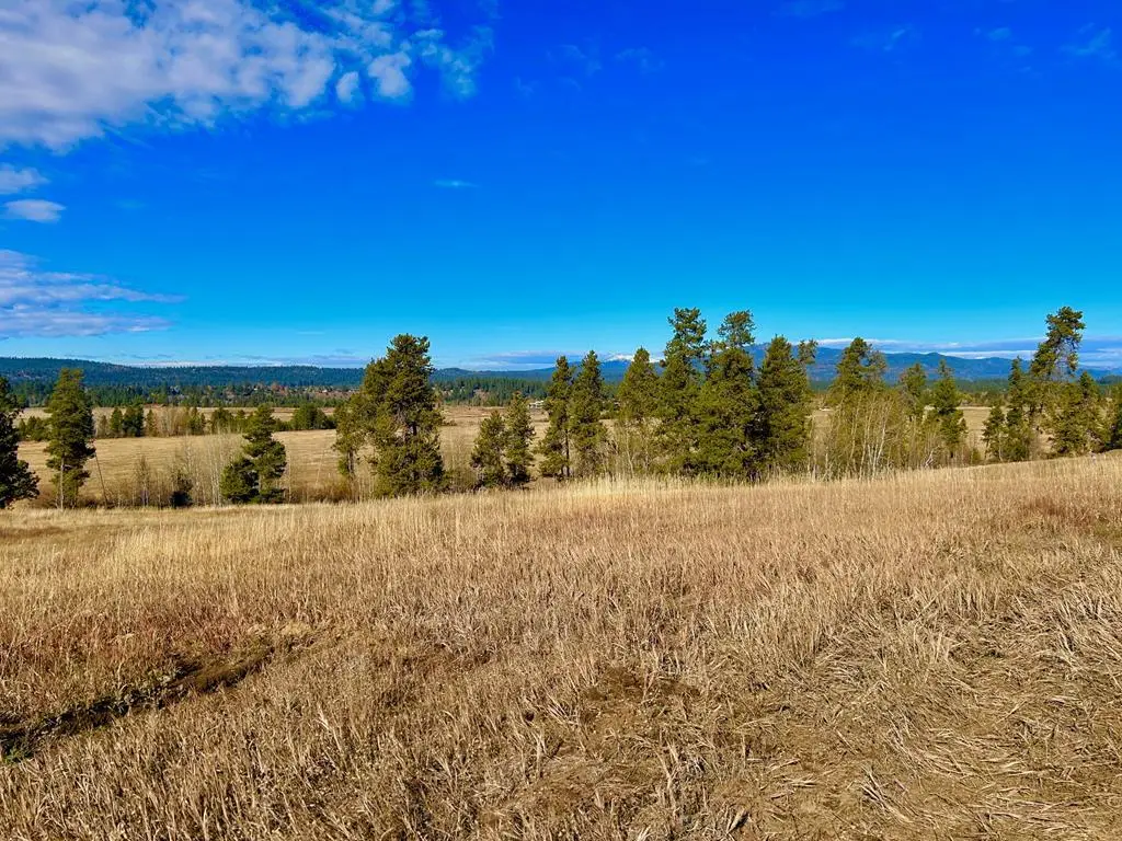 Lot 2 Wood Run Trail, McCall, ID 83638 - Image #1