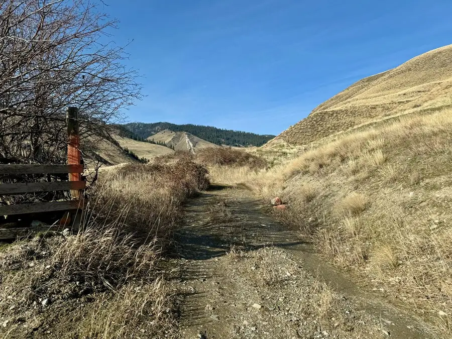 TBD E Shingle Creek Road, Riggins, ID 83549 - Image #3