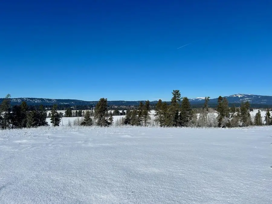 Lot 14 Wood Run Trail, McCall, ID 83638 - Image #2
