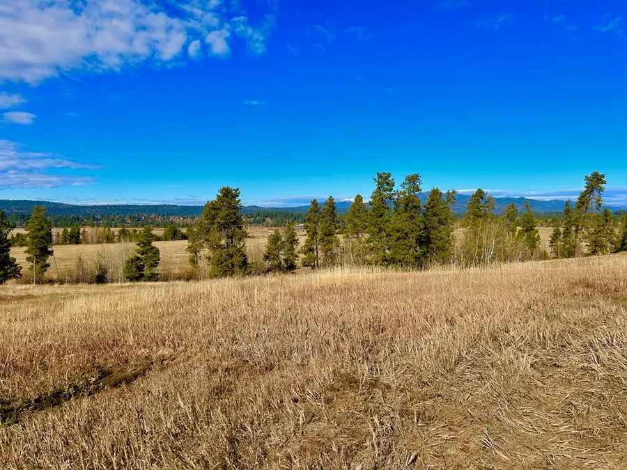 Lot 14 Wood Run Trail, McCall, ID 83638 - Image #3