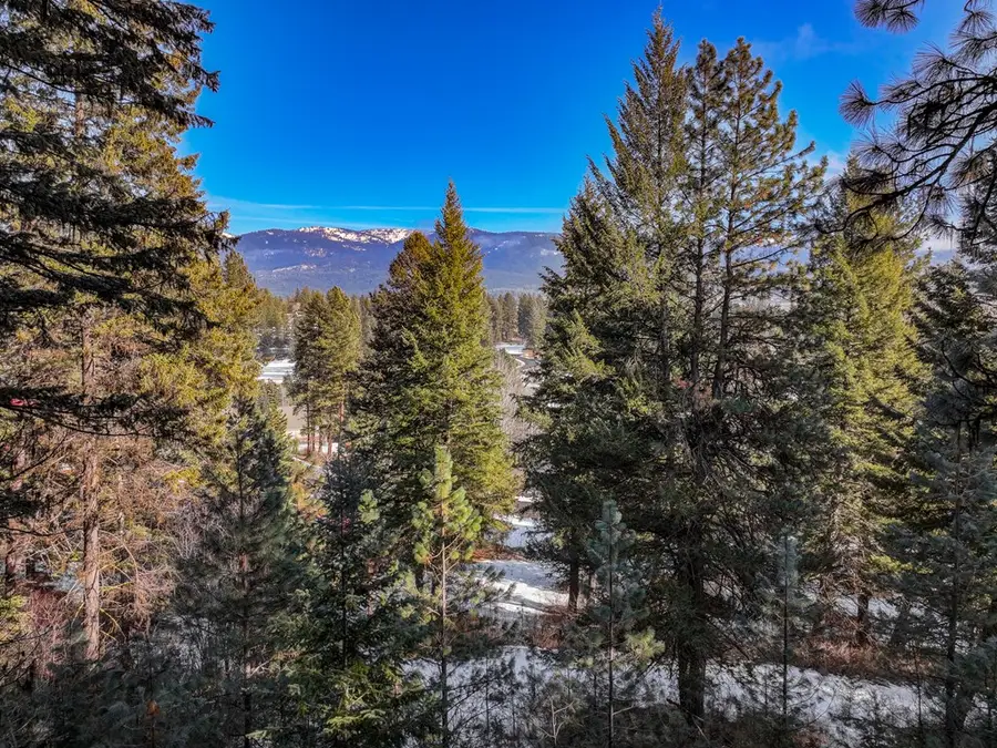 L 2 B 27 Hogan Road, New Meadows, ID 83654 - Image #3