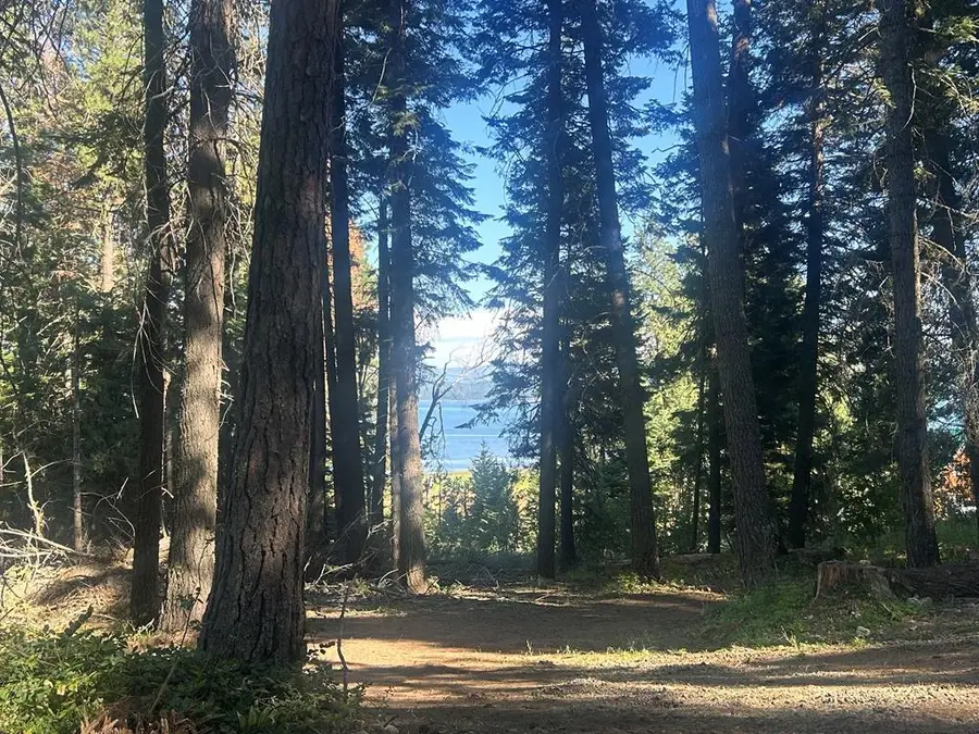 38 Burnt Wagon Trail, Donnelly, ID 83615 - Image #2