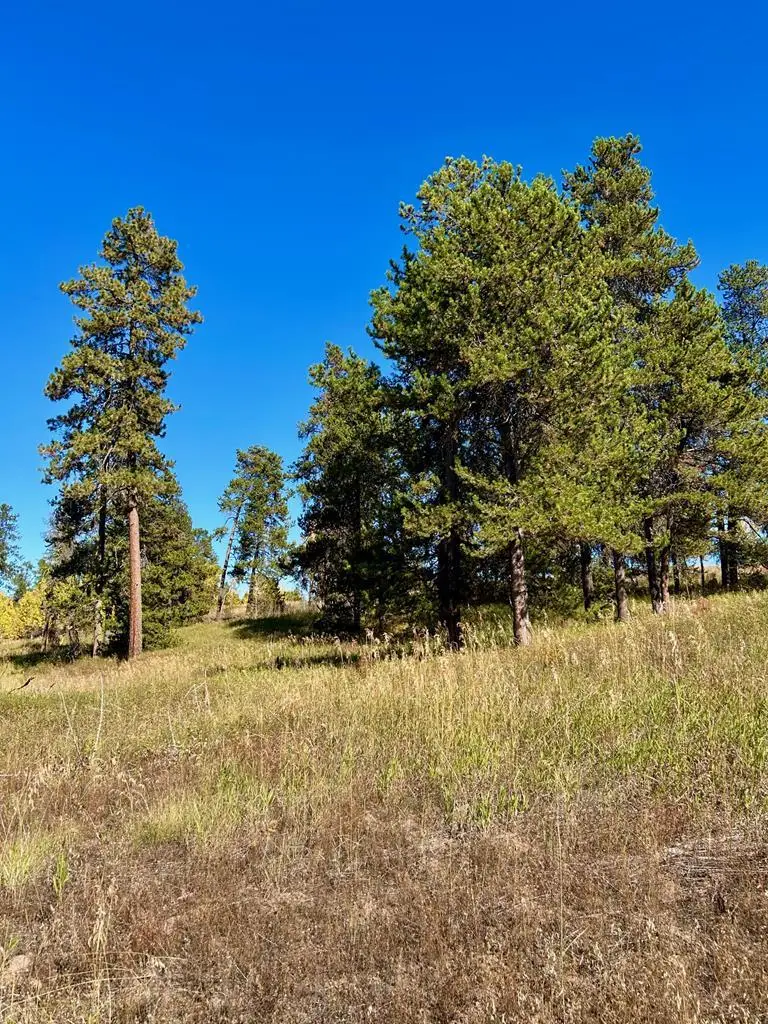 38 Wood Run Trail, McCall, ID 83638 - Image #2