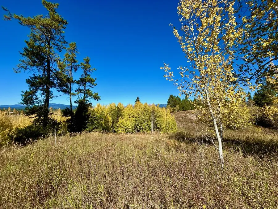 Lot 1 Wood Run Trail, McCall, ID 83638 - #3