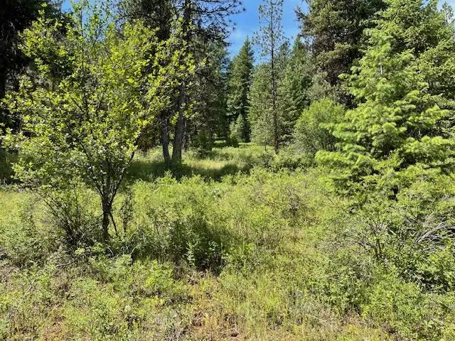 Lot 20 Little Salmon Road, New Meadows, ID 83654 - #1