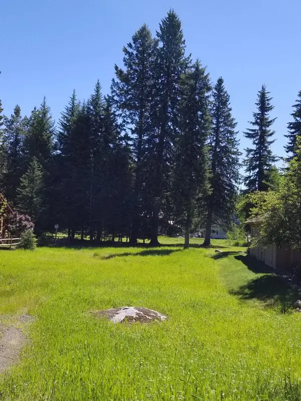 TBD Divot Lane, McCall, ID 83638