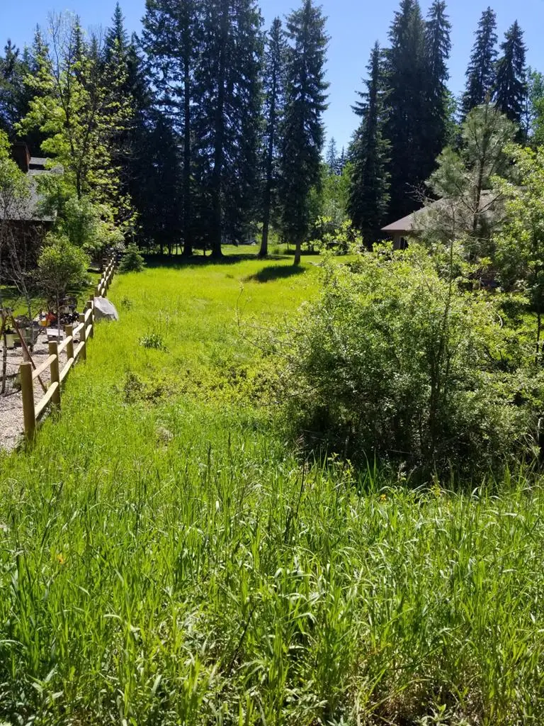 TBD Divot Lane, McCall, ID 83638 - #2