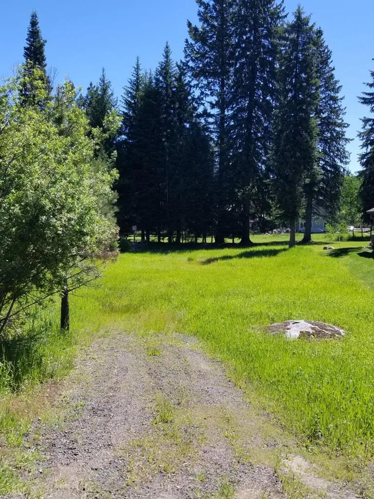 TBD Divot Lane, McCall, ID 83638 - #3