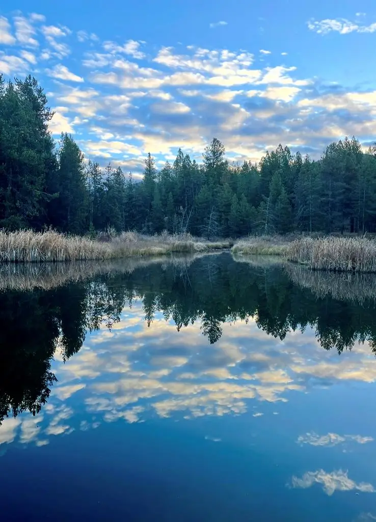 211 Pointes Road, Cascade, ID 83611 - #1