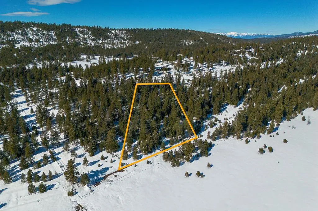 5541 Lupine Lane, McCall, ID 83638 - #1