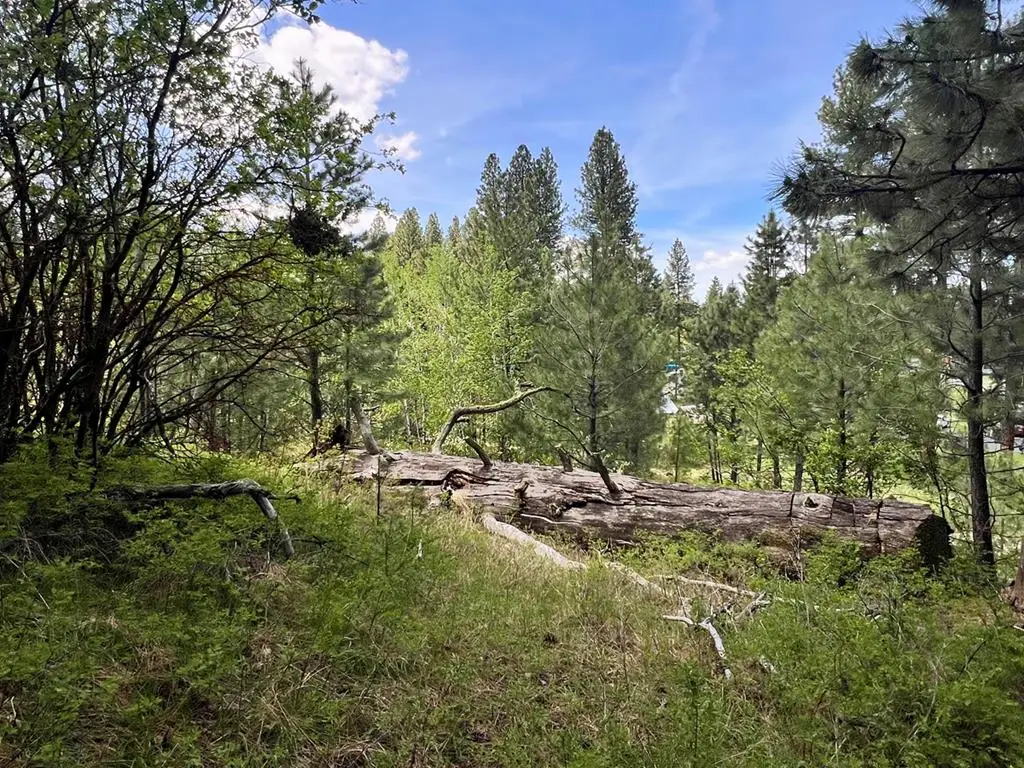 T75 LI Cabarton Road, Cascade, ID 83611 - #1