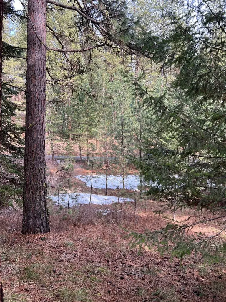 B14 L2 Yampa Court, New Meadows, ID 83654 - #2