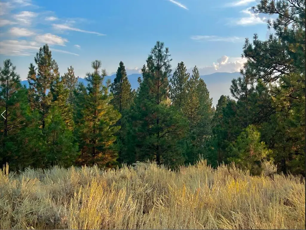 30 Four Seasons Drive, Cascade, ID 83611 - #1