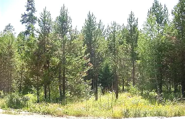 137 Lake Trail Drive, Cascade, ID 83611 - #2