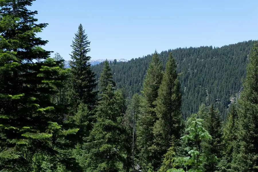 TBD 16 Clear Creek Road, Cascade, ID 83611 - #3