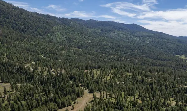 TBD 23 Clear Creek Road, Cascade, ID 83611