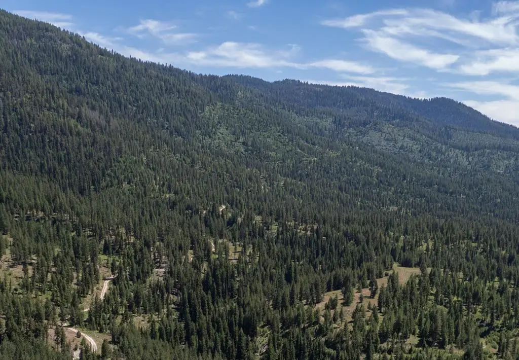TBD 24 Clear Creek Road, Cascade, ID 83611 - #1