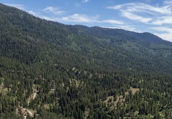 TBD 24 Clear Creek Road, Cascade, ID 83611