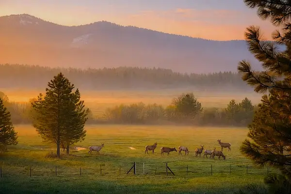 1217 Elo Road, McCall, ID 83638