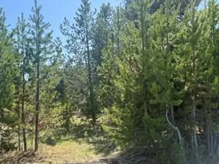 21 Grand Fir Drive, Donnelly, ID 83615