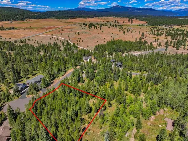 8 Haymaker Place, McCall, ID 83638