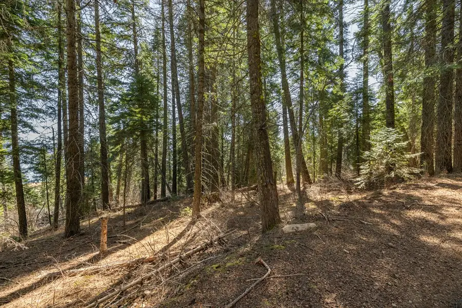 44 Burnt Wagon Trail, Donnelly, ID 83615 - #3