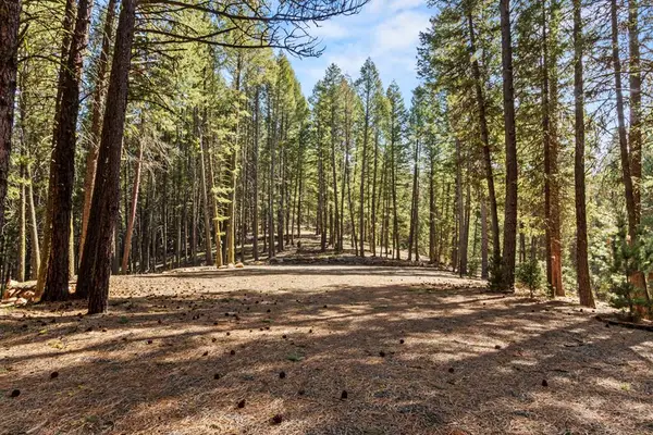 150 Mountain Air Drive, Cascade, ID 83611