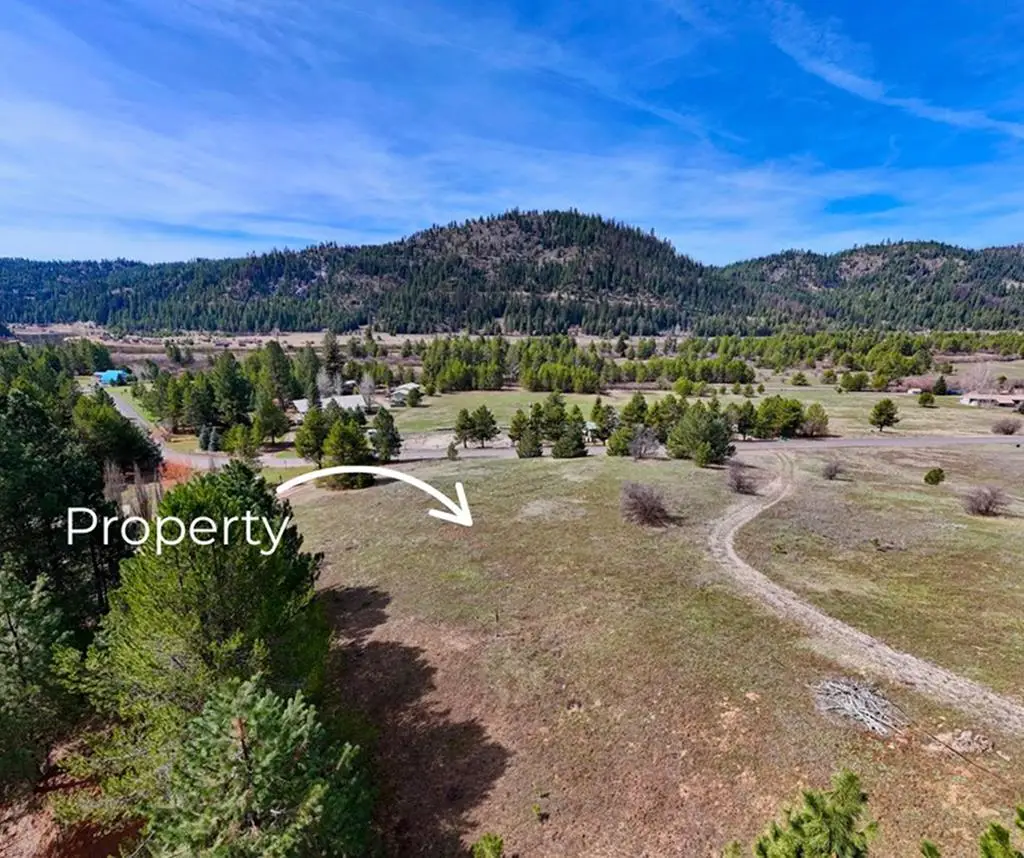 PT Lot 7 Packer John Road, Cascade, ID 83611 - #1