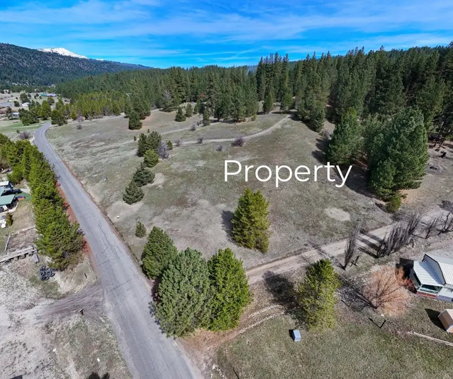 PT Lot 7 Packer John Road, Cascade, ID 83611 - #3