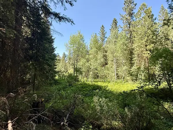 83 Panorama Drive, Cascade, ID 83611