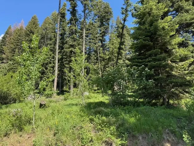 1633 Bear Trail, Donnelly, ID 83615 - #2