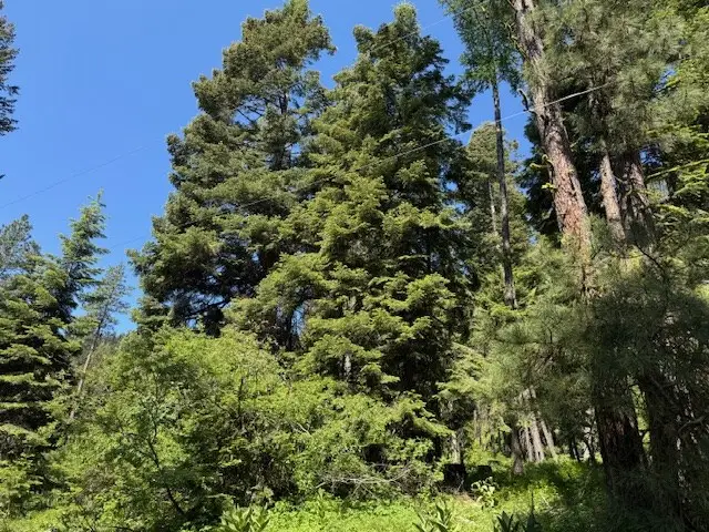 1633 Bear Trail, Donnelly, ID 83615 - #3