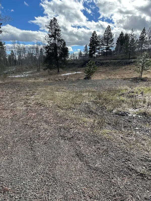 TBD Morell Road, McCall, ID 83638 - #2