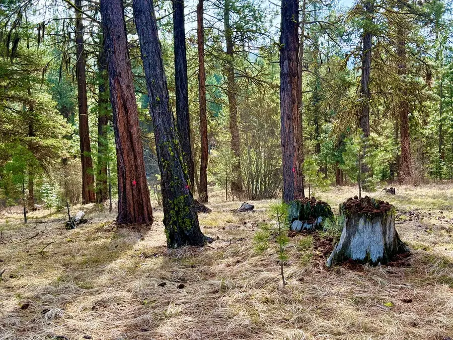 23 Vernon Court, McCall, ID 83683 - #3