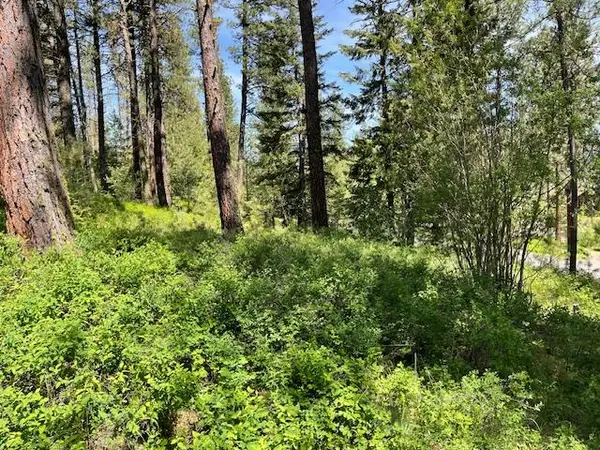 Lot 23 Hot Springs Road, New Meadows, ID 83654