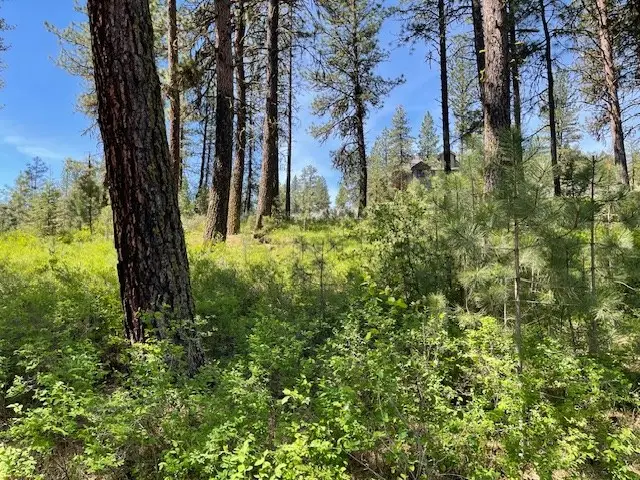 Lot 23 Hot Springs Road, New Meadows, ID 83654 - #2