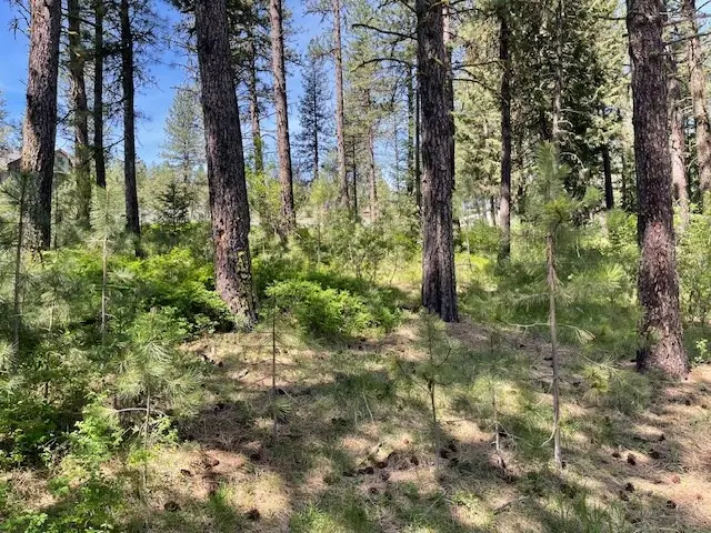 Lot 23 Hot Springs Road, New Meadows, ID 83654 - #3