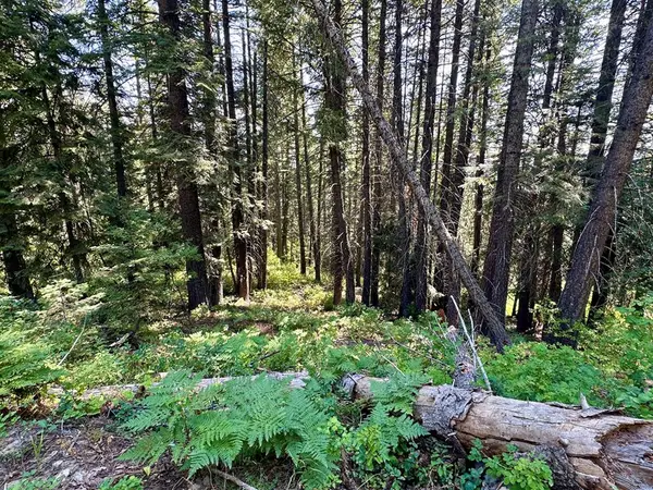 37 Arling Trail, Donnelly, ID 83615