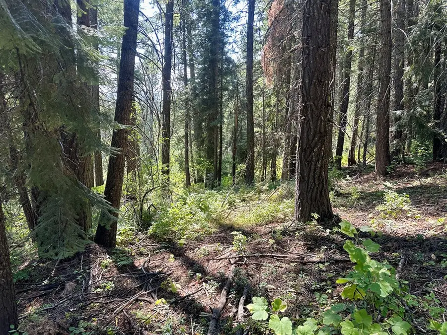 37 Arling Trail, Donnelly, ID 83615 - #2