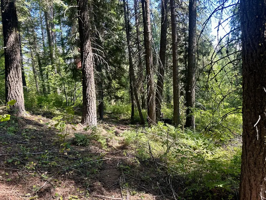 37 Arling Trail, Donnelly, ID 83615 - #3