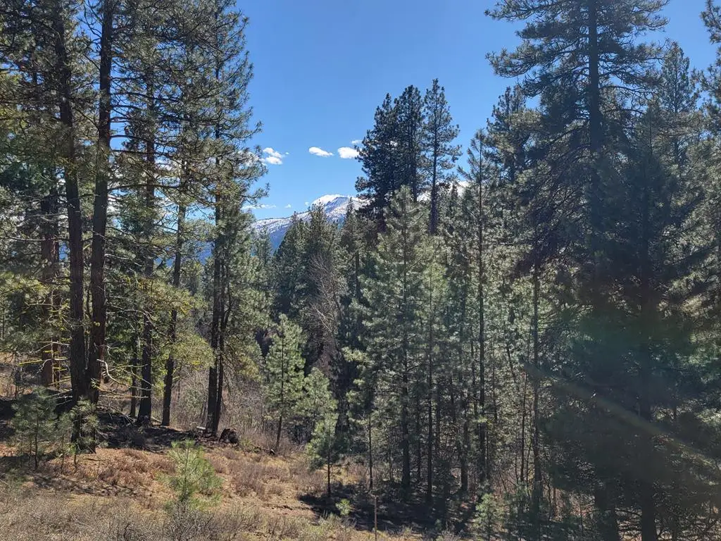 TBD Point Lane, Cascade, ID 83611 - #1