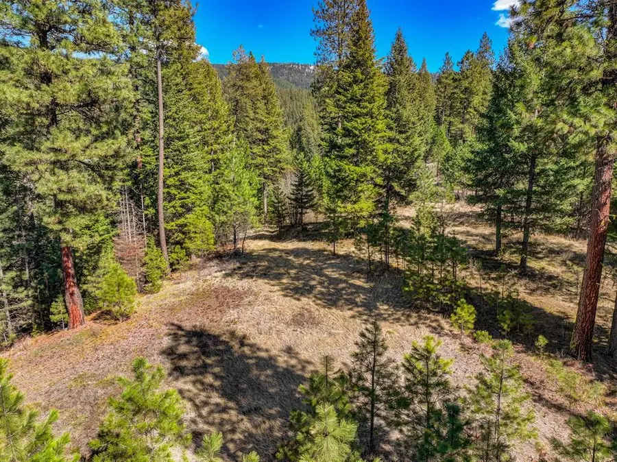 Lot 9 Canyon Creek Way, New Meadows, ID 83654 - #2