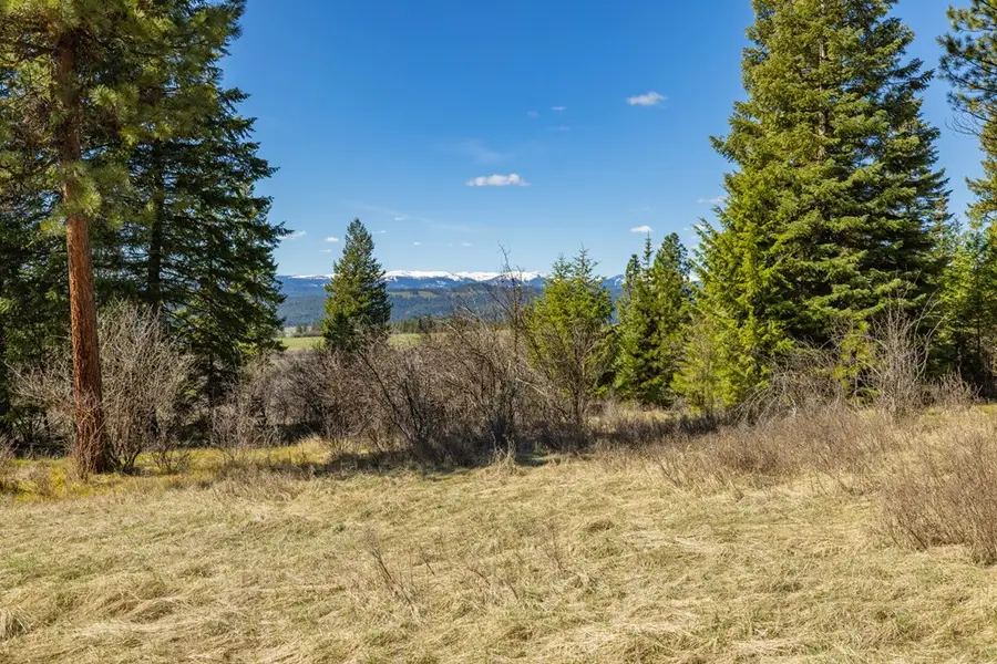 Lot 9 Canyon Creek Way, New Meadows, ID 83654 - #3